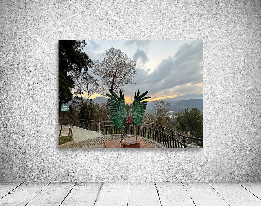 IMG 0467 Wall Preview