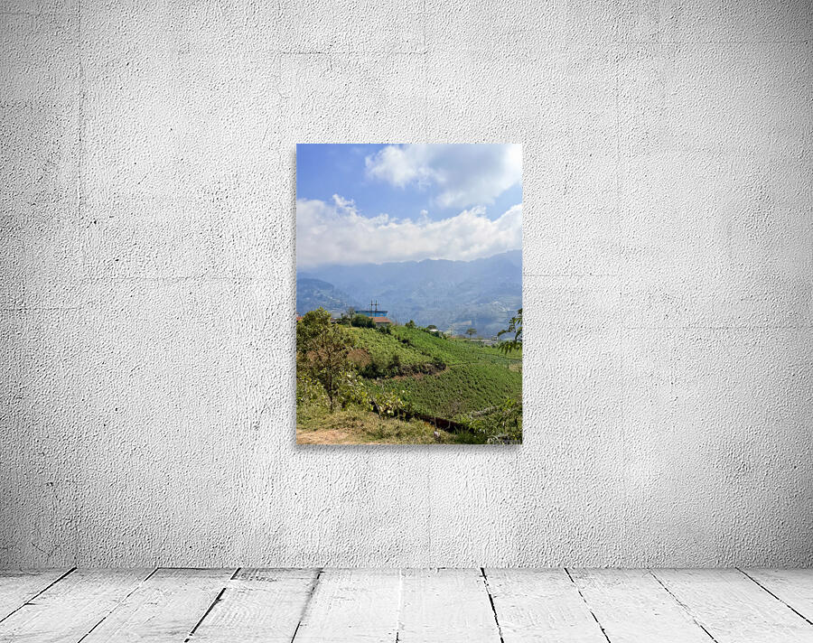 IMG 9267 Wall Preview