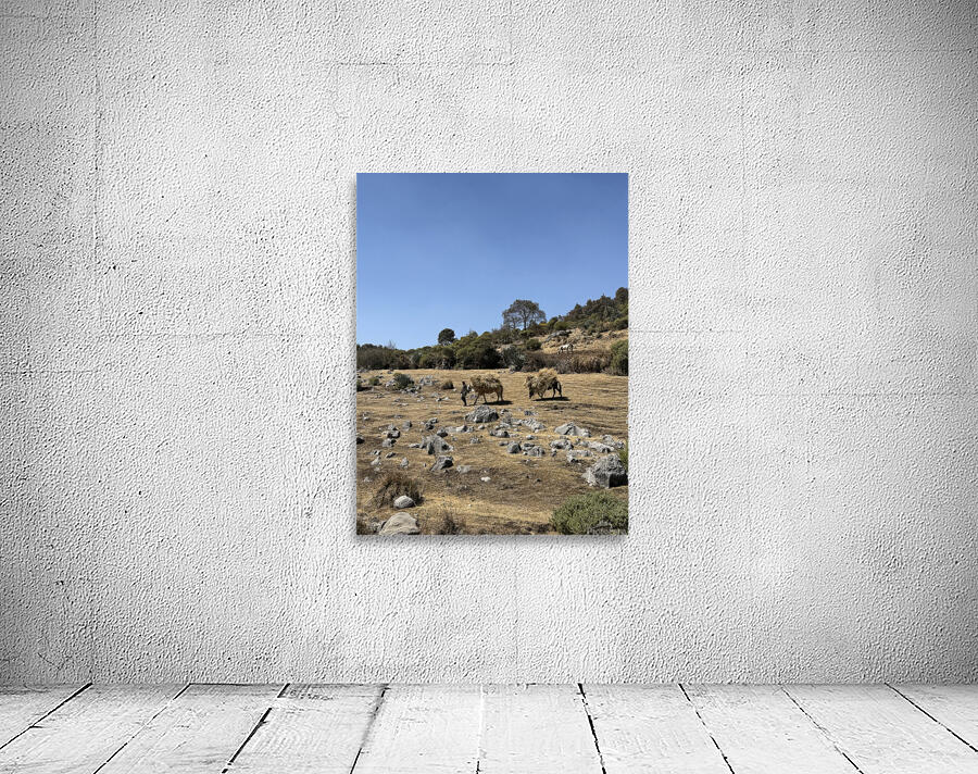 IMG 9555 Wall Preview