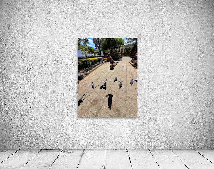 IMG 0279 Wall Preview