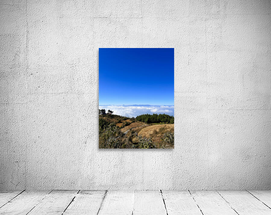 IMG 9128 Wall Preview