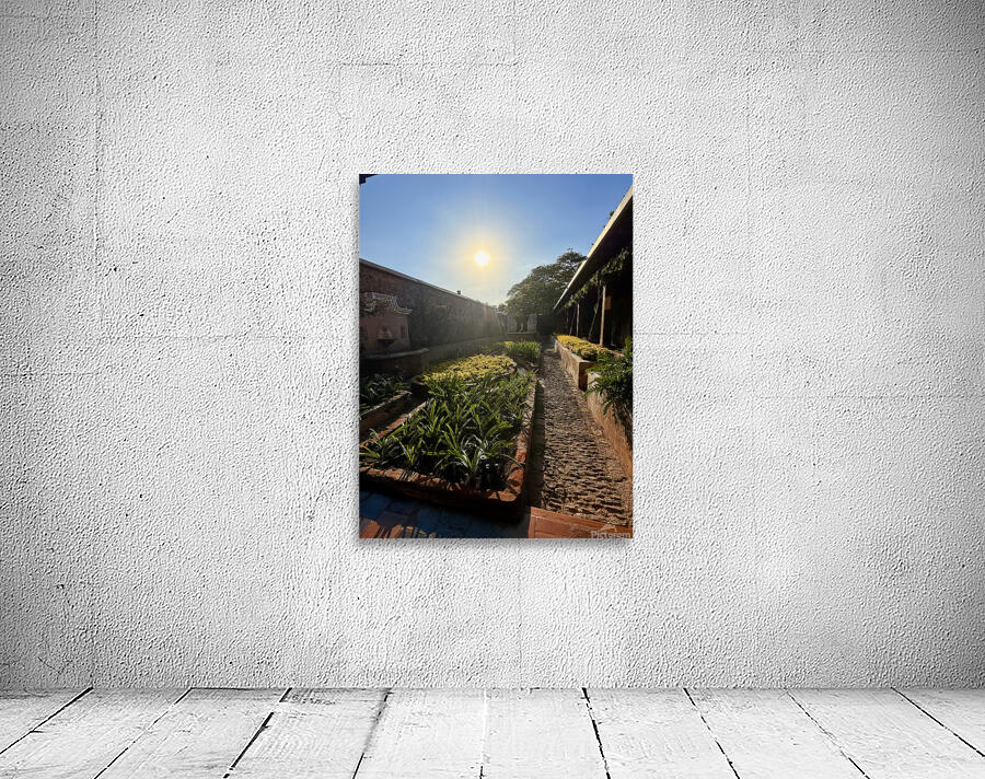 IMG 9939 Wall Preview