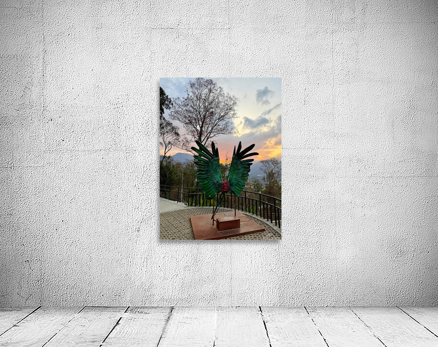 IMG 0496 Wall Preview