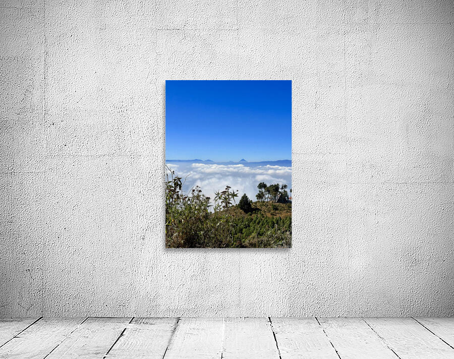 IMG 9140 Wall Preview