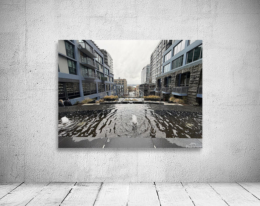 IMG 8438 Wall Preview