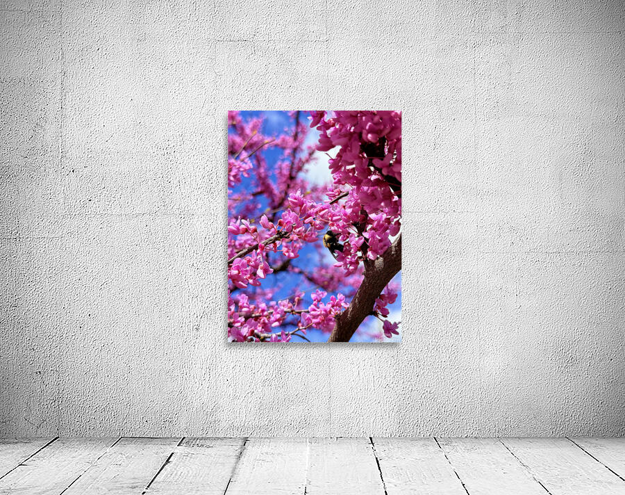 IMG 1577 Wall Preview