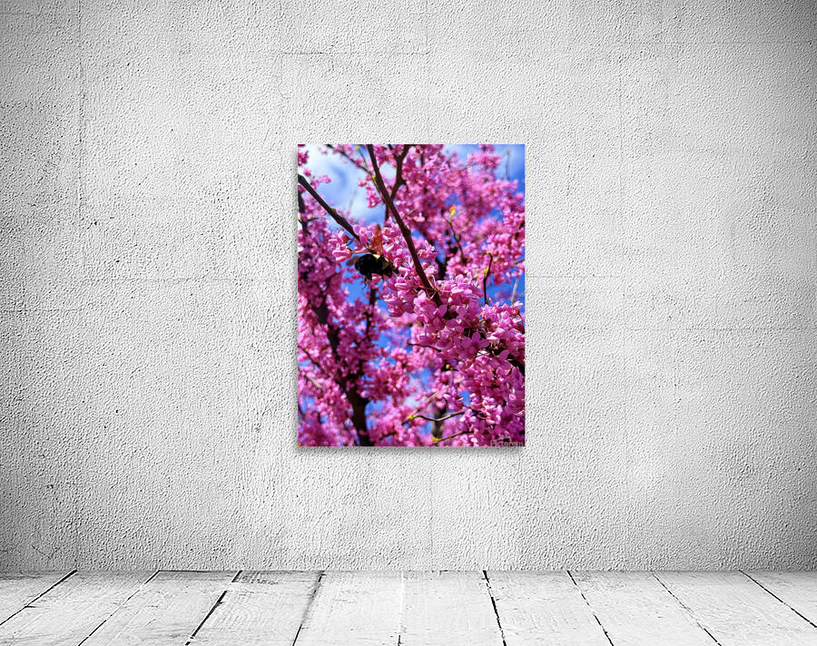 IMG 1659 Wall Preview