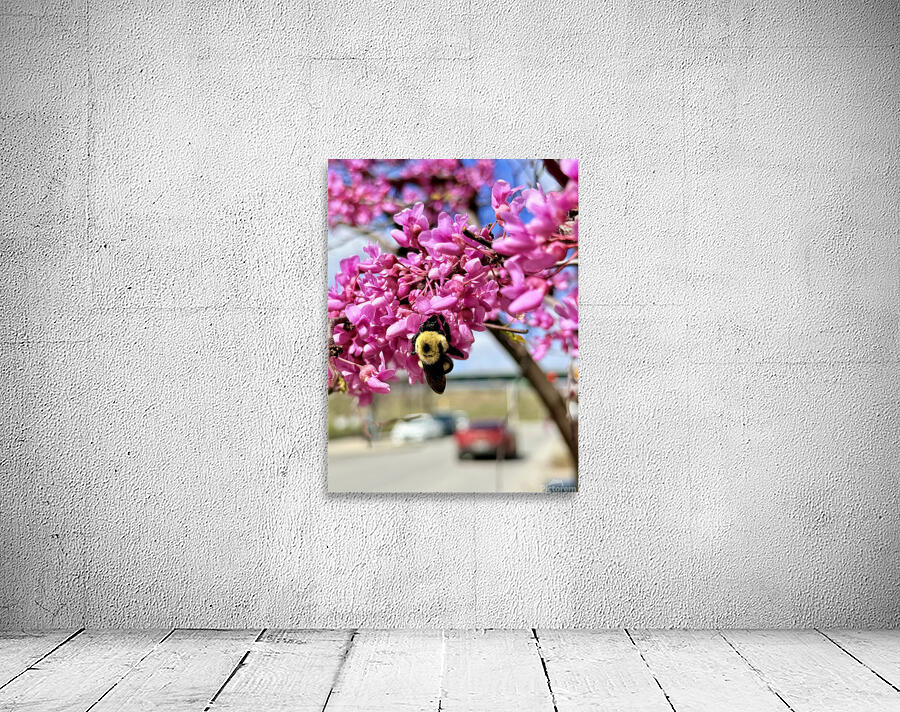 IMG 1570 Wall Preview