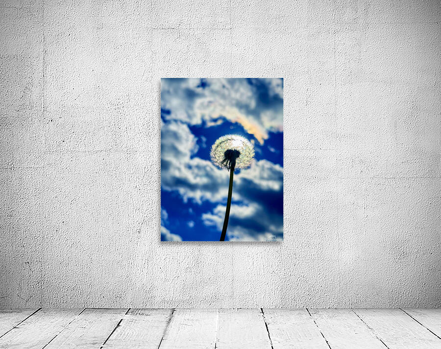 IMG 1749 Wall Preview