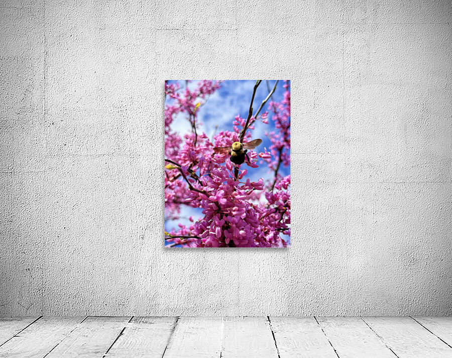 IMG 1683 Wall Preview