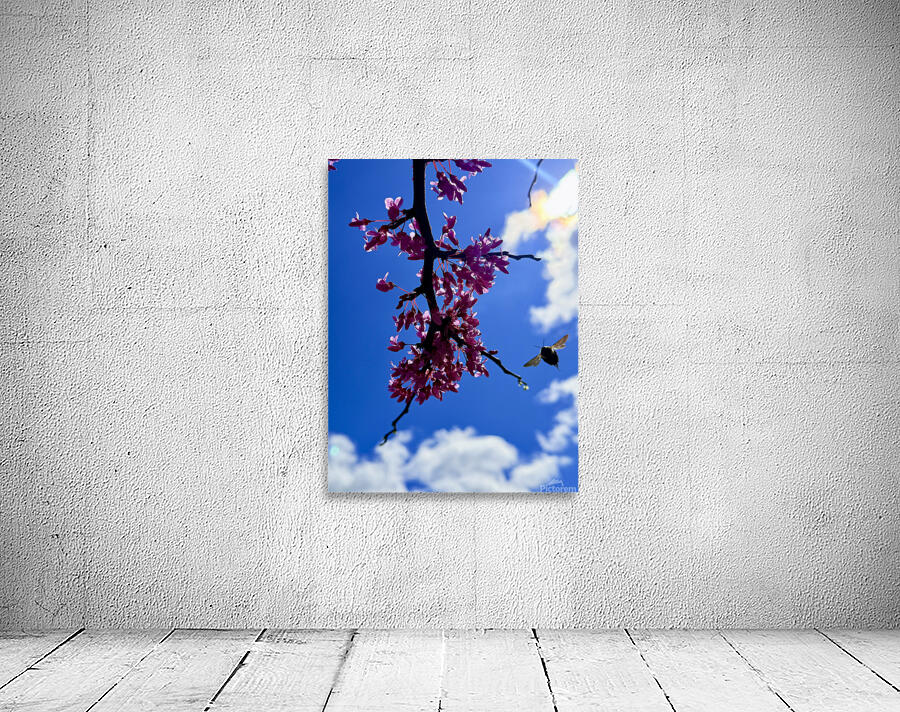 IMG 1556 Wall Preview