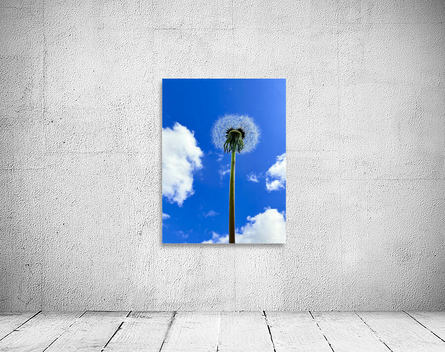 IMG 1759 Wall Preview