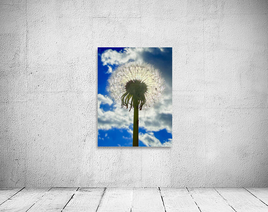 IMG 1743 Wall Preview