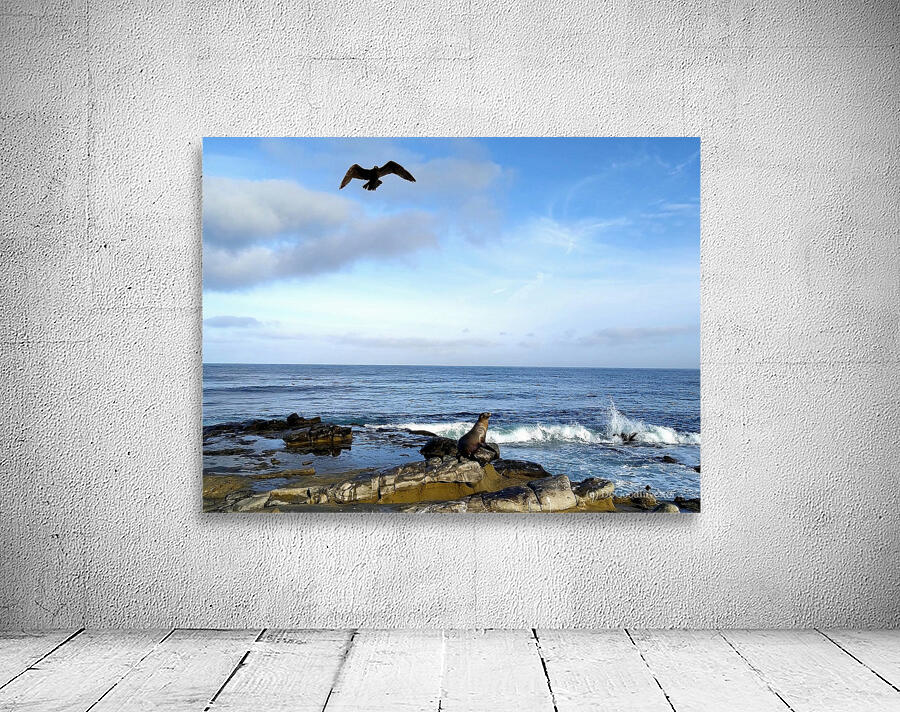 Seal Bird Watching 3 Wall Preview