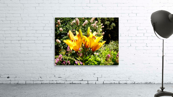 Bursting Beauty 2 Wall Preview