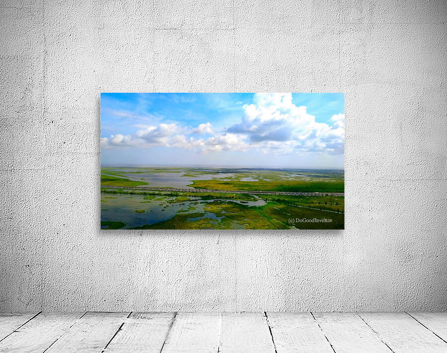 New Orleans from the Sky Wall Preview