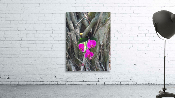 Natural Orchid 1 Wall Preview