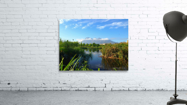 Out of Africa 2 Wall Preview