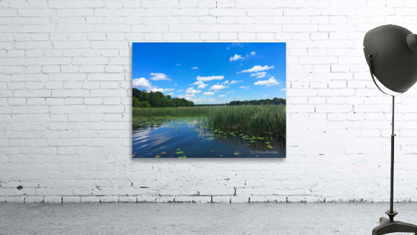 Blue By You Wall Preview