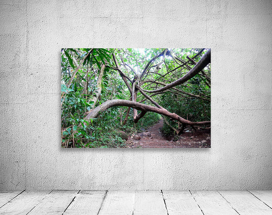 Branches of Life Wall Preview