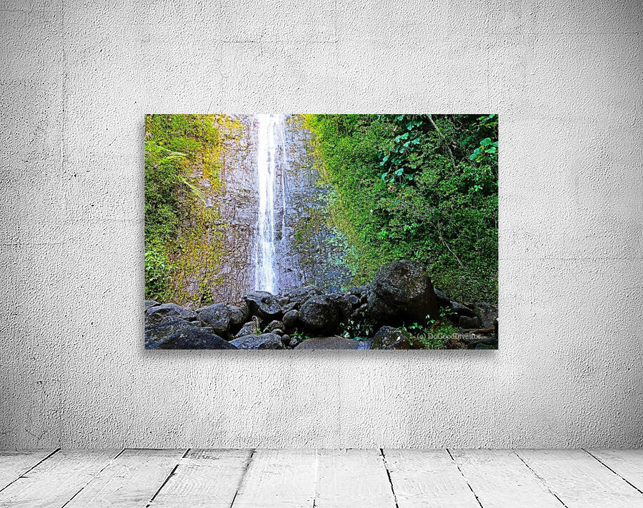 Falling for Colors Wall Preview