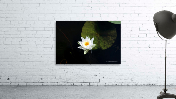 Blooms of Joy Wall Preview