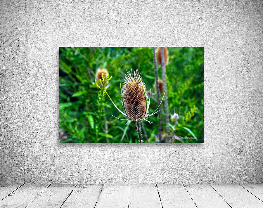 A Beautiful Prick Wall Preview