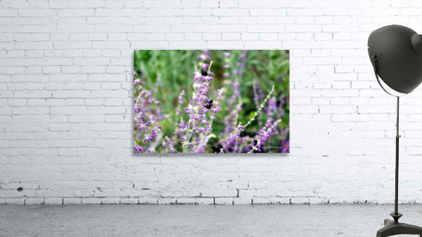 To Bee or Not To Bee--Small Flower Big Flavor 2 Wall Preview