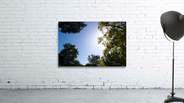 Seeing the Light Wall Preview