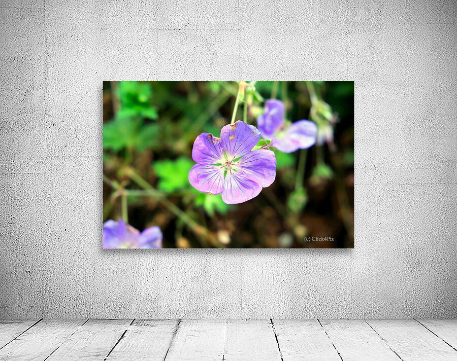 Flower Bloom 8 Wall Preview