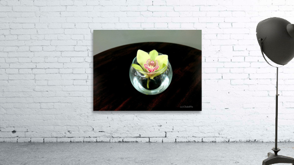 Glass Bloom 2 Wall Preview