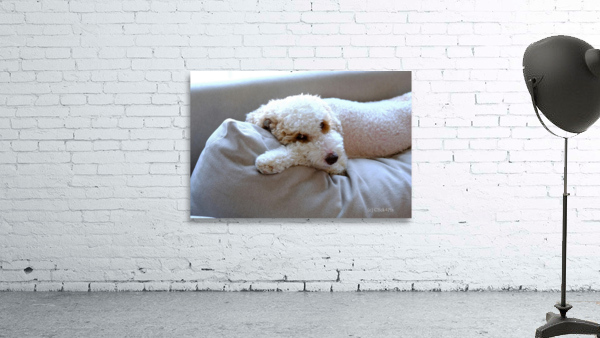 Not Pouting Pooch Wall Preview
