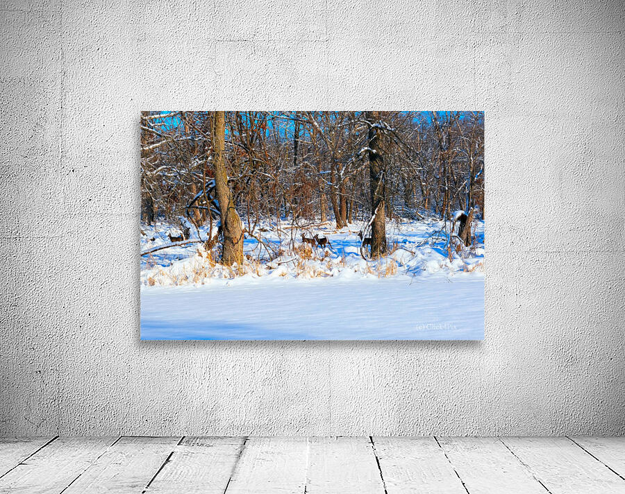 Oh Deer  Wall Preview