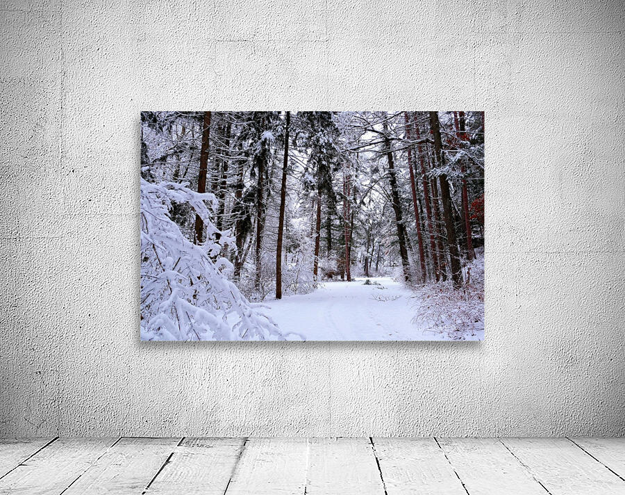 Winterscape Wall Preview
