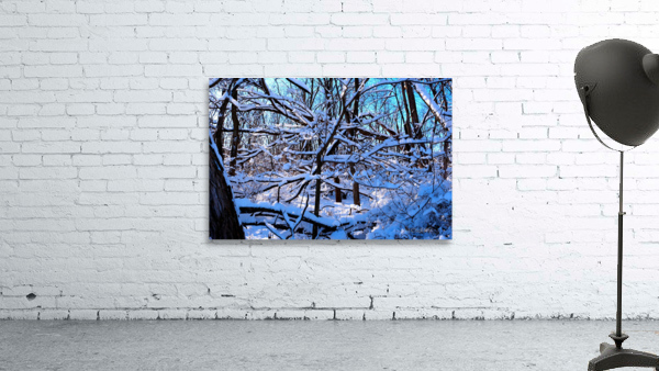 Frozen Limbs 2B Wall Preview