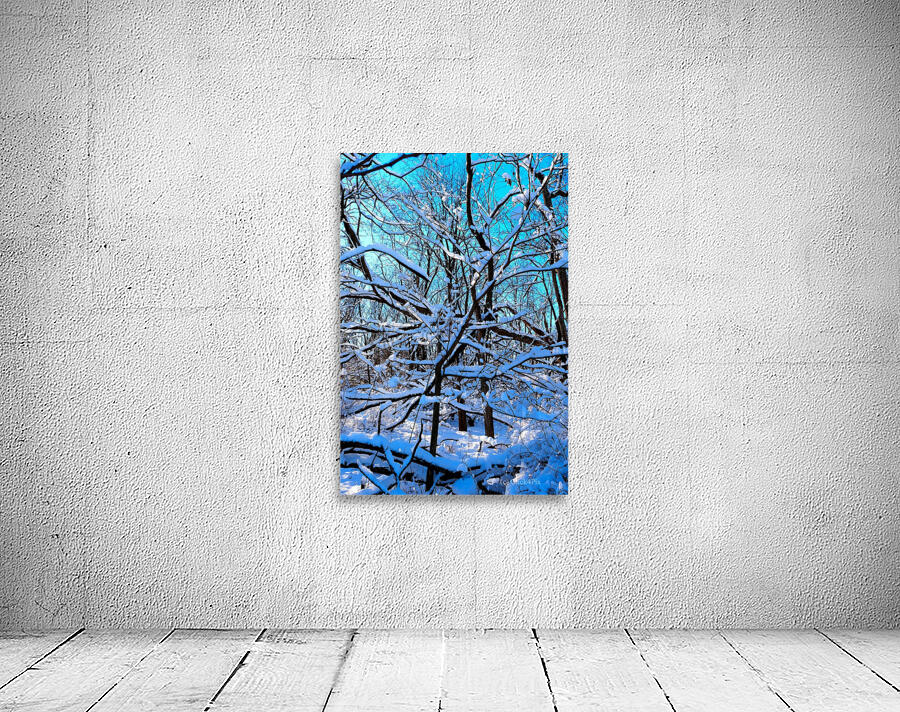 Frozen Limbs 3B Wall Preview