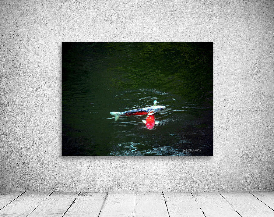 Playful Koi Wall Preview