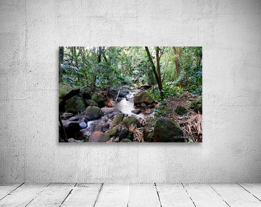 Hiking Hawaii Water Flow B Wall Preview