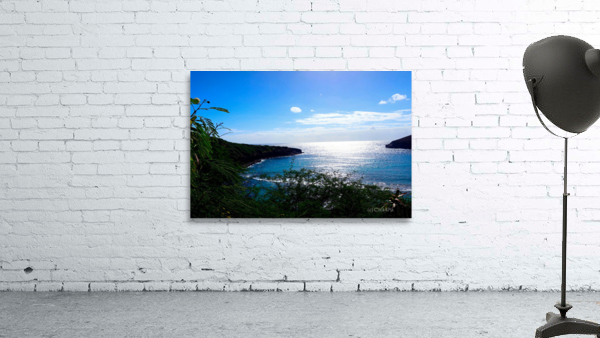 Welcome to Hawaii Wall Preview