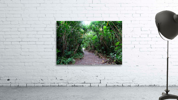 Hiking Hawaii Wall Preview