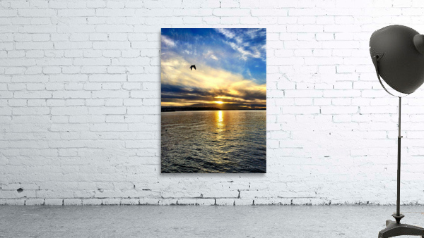 Flying Over the Edgewater Wall Preview