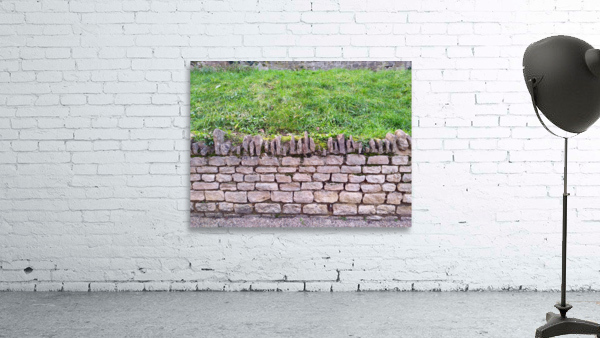 Barbed Stone Wall Wall Preview