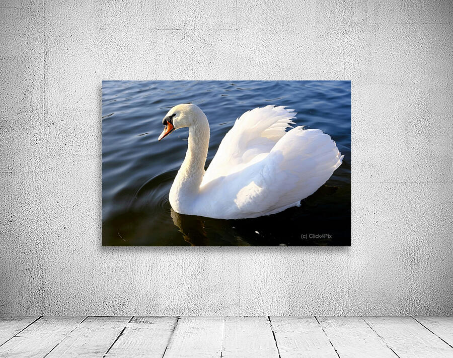 Wings of Love 1B Wall Preview