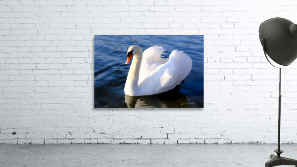 Wings of Love 1A Wall Preview