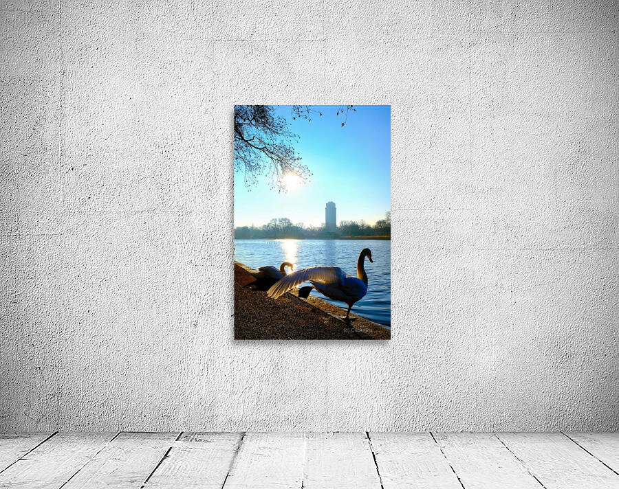 Swan Yoga Morning Stretch Wall Preview