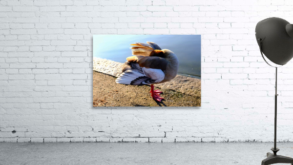 No Selfies Please  Wall Preview