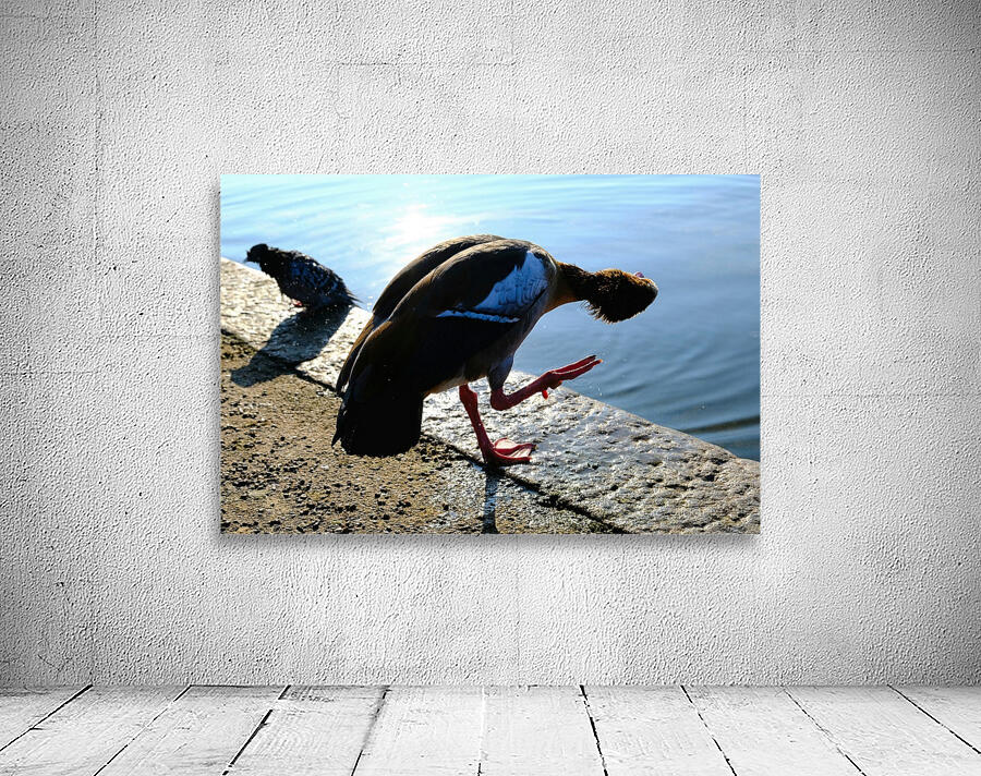 Is the Sky Falling...Just Checking Wall Preview