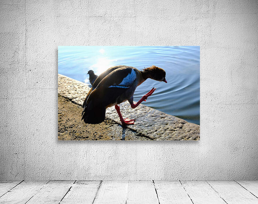  Step Off the Deep End Wall Preview