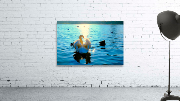 Luminous Voyage Wall Preview