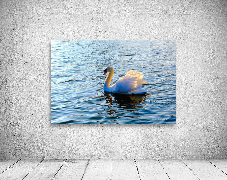 Silent Drift Wall Preview